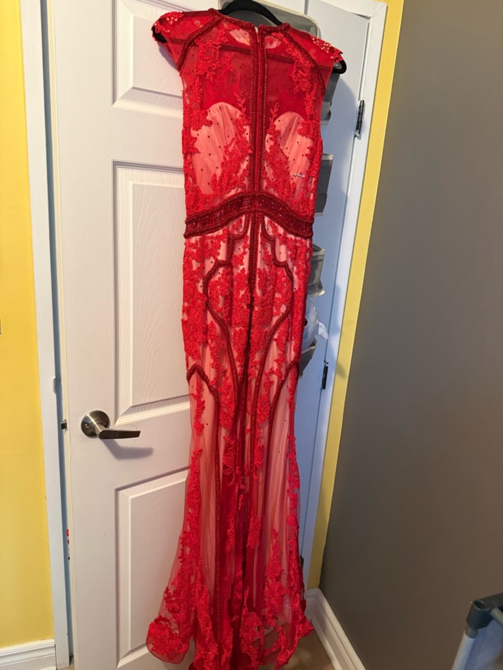 Tiffany Designs Red Lace Illusion Evening Gown